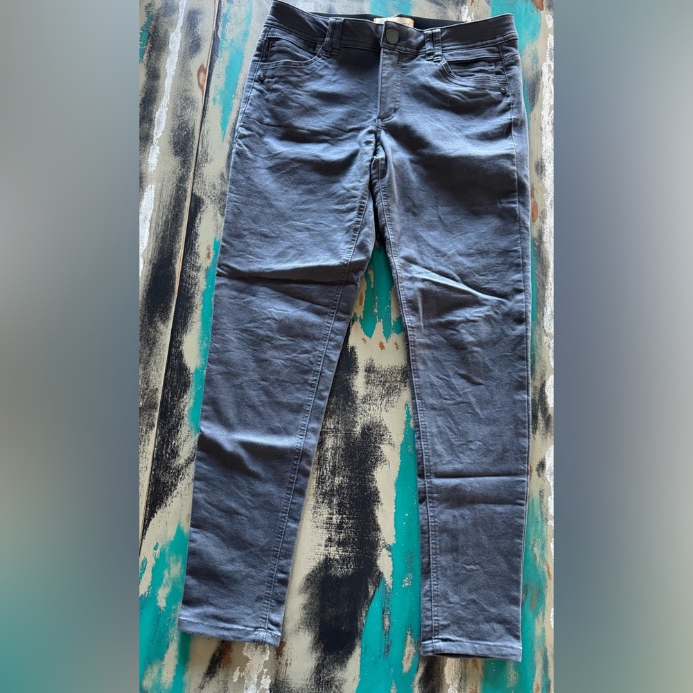 Democracy Grey Skinny Pants with "Ab" Technology